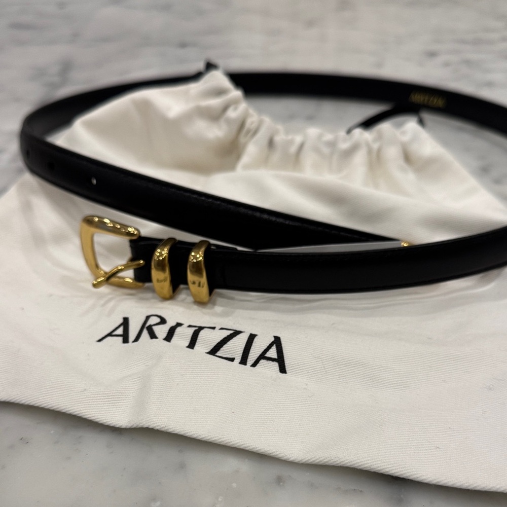 Aritzia Legendary Solid Brass Leather Slim Belt